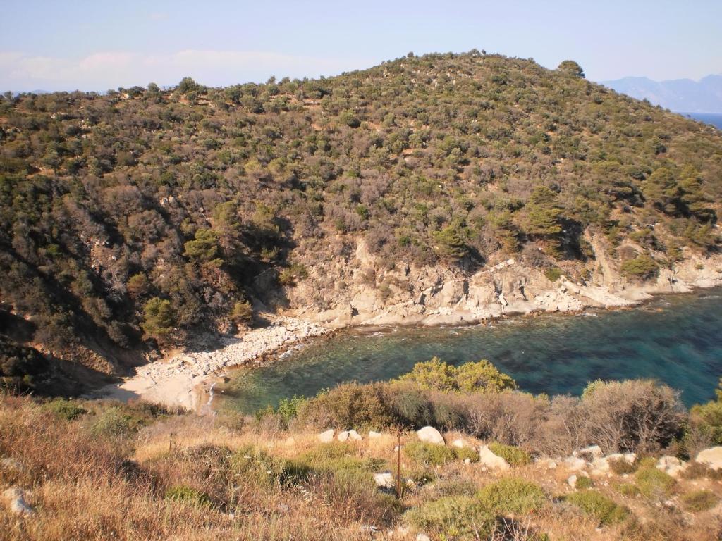 סארטי Vergina Pension מראה חיצוני תמונה